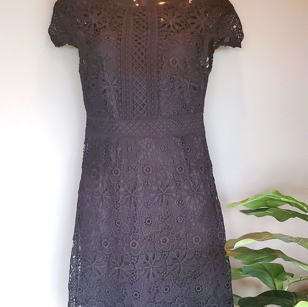 ZARA Basics collection Black Lace Dress